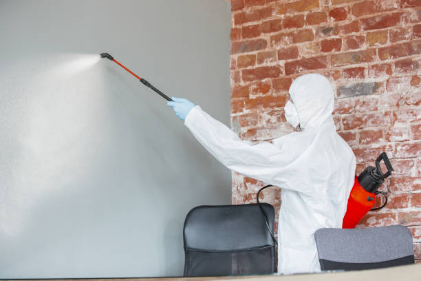 Best Crawl Space Mold Remediation  in Allyn, WA