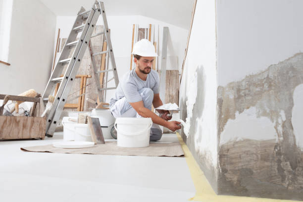 Best Black Mold Removal  in Allyn, WA