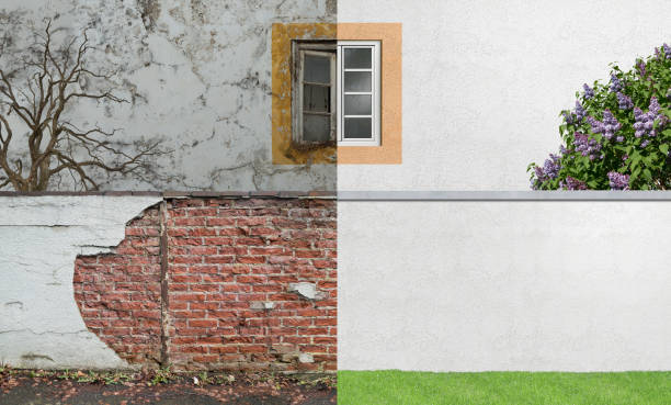 Best Industrial Mold Remediation  in Allyn, WA