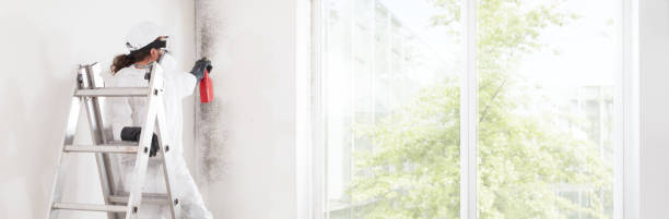 Mold Remediation for Vacation Homes in Allyn, WA