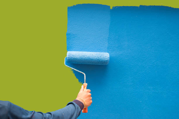 Best Mold Documentation for Insurance Claims  in Allyn, WA